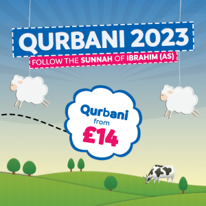 Qurbani Website - Crisis Aid